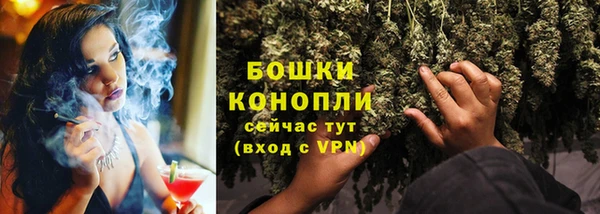 гидра Белокуриха
